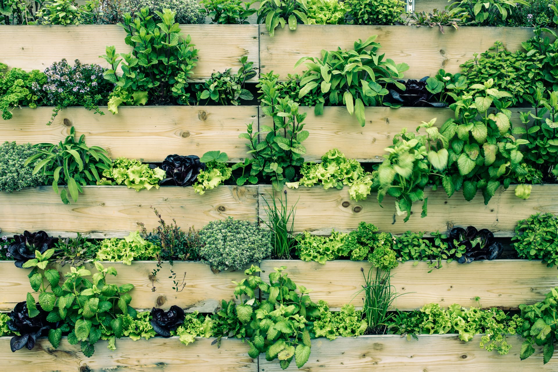 Urban gardening