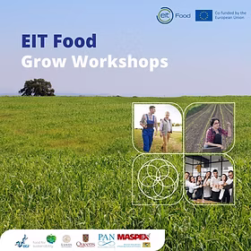 Grow Workshops 2023