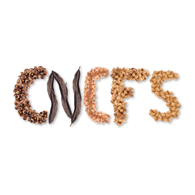 CNCFS