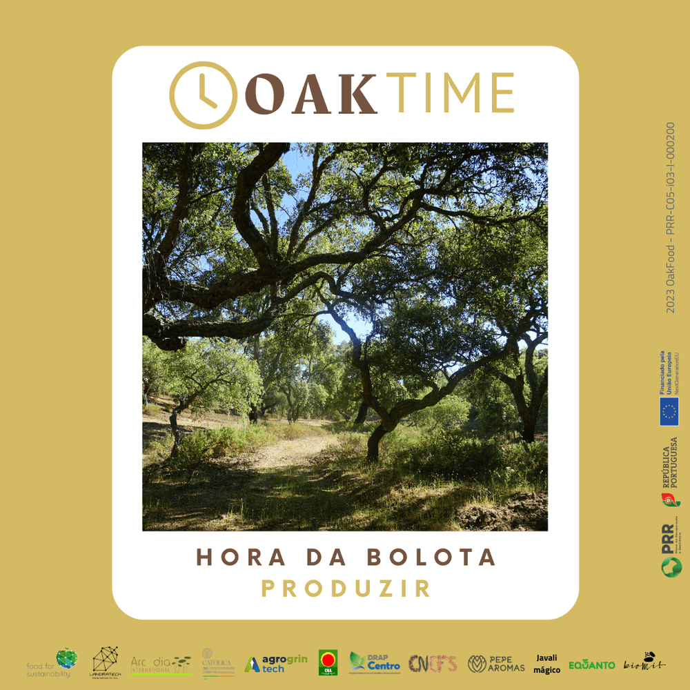 OakTime 1