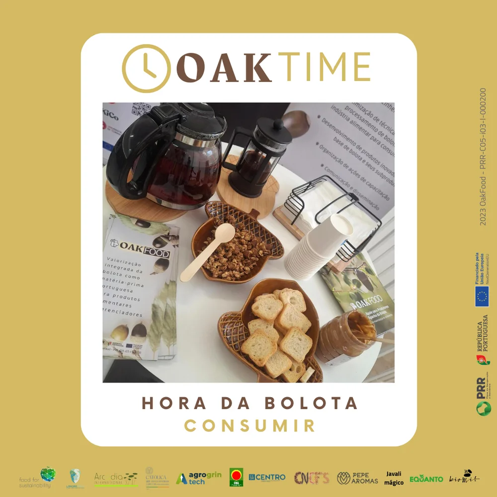 OakTime 7