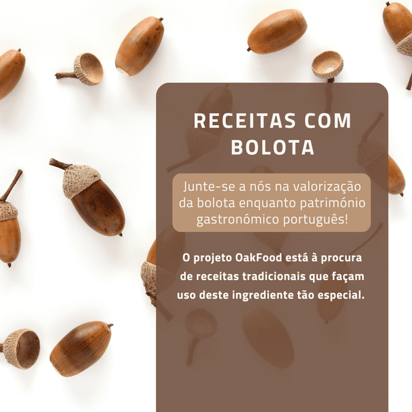 Receitas com Bolota