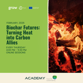 Biochar Futures: Turning Heat into Carbon Allies