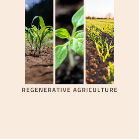 Regenerative Agriculture