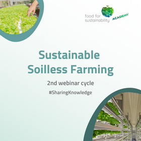 Sustainable Soilless Farming
