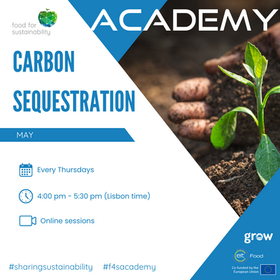 Carbon Sequestration