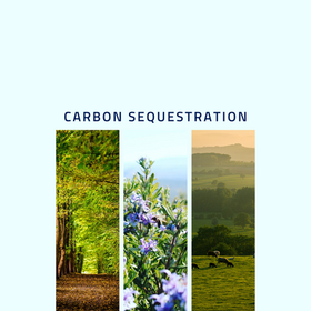 Carbon Sequestration