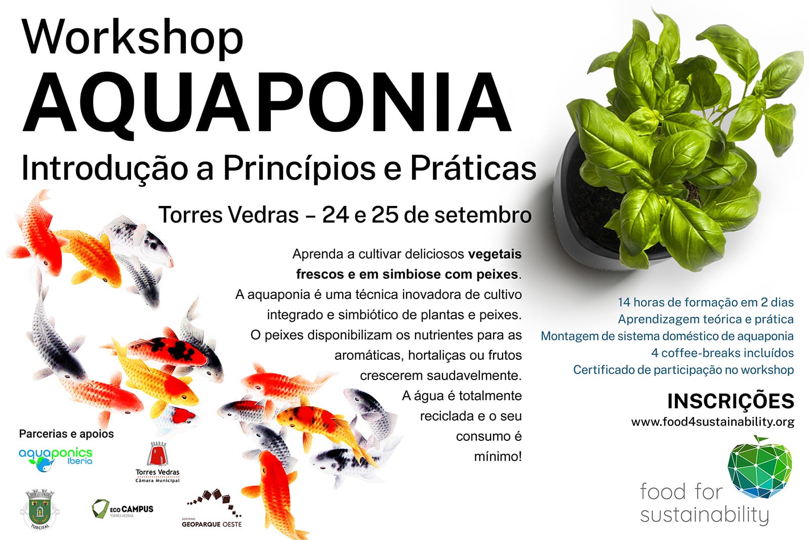 Workshop Aquaponia